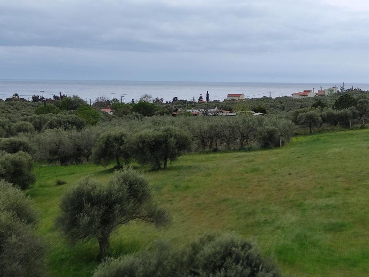 Villa Onari Александруполис Екстериор снимка